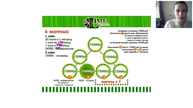 LIME COMPANY  -  ОБЗОР МАРКЕТИНГА