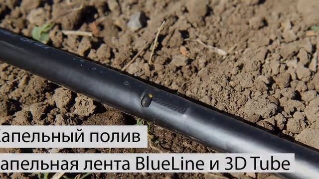 Капельный Полив Видео