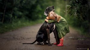 Если вдруг несчастье