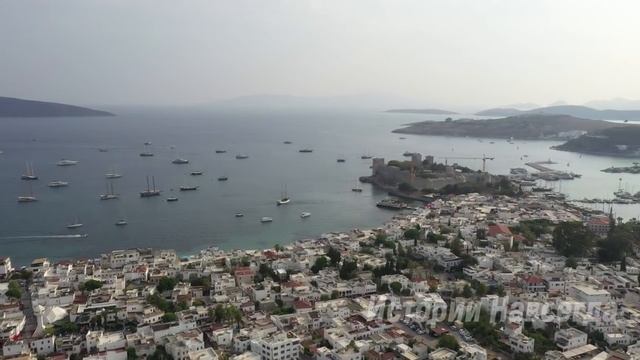 От этих слов сестры она побелела, но она даже представить не могла, что… смотреть онлайн