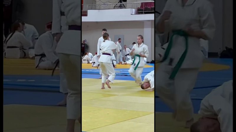 Чемпионат России по Айкидо в рамках Всероссийского фестиваля Торнадо #sports #family #aikido #like