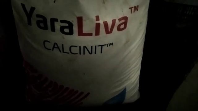 Посадка Тюльпанов на 8 Марта. смотреть онлайн