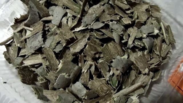 Так выглядит осиновая кора смотреть онлайн