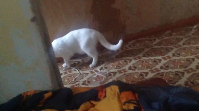 драйзер смотреть онлайн