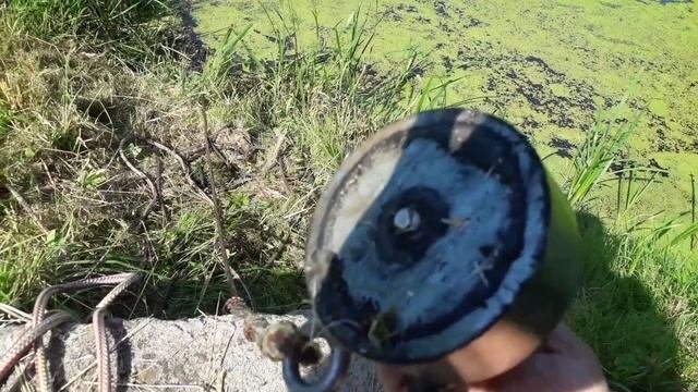 Поиск с магнитом Росмагнит