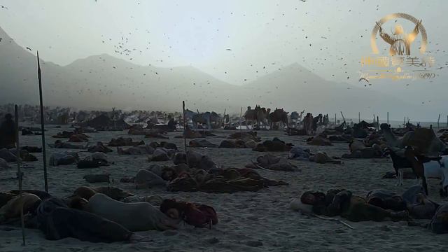 史诗级震撼音乐马克西姆《出埃及记》Exodus By Maksim смотреть онлайн