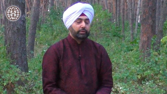 Как с помощью практик Рейки гармонизировать отношения?