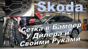 Skoda: Сетка в Бампере. Дилерская и Своими Руками. Что лучше?  (2023)