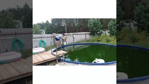 Сколько по времени работает перекись водорода в бассейне