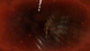 Doom 2016. Все анимации смерти.