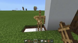 Display ANY Item in Minecraft Bedrock! (No Command Blocks/Mods)