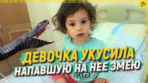 Девочка укусила напавшую на нее змею