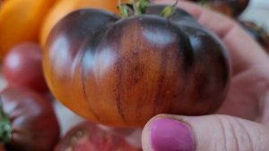 Обзор сортов томатов в разрезе.Это очень вкусно!