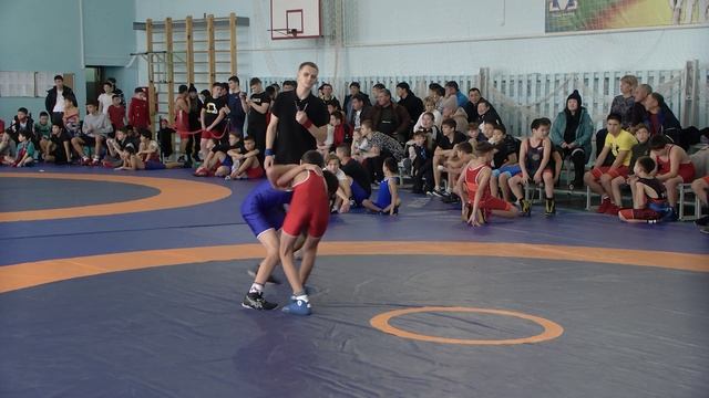 Турнир по спортивной борьбе памяти первого победителя первенства СССР Семена Самуиловича Мамышева. смотреть онлайн