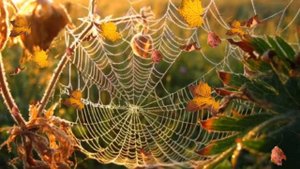 Начало осени. А. Твардовский. Детские поэты. Стихи для детей