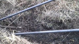 Универсальный плоскорез-пропольник «ДАНЯ-1»