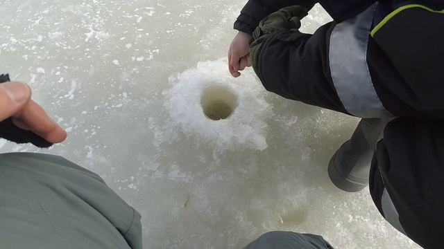 ПРО ФОРЕЛЬКУ! Рыбалка на форель со льда, ловля форели на раттлины