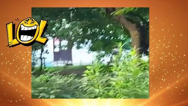 спокойствие