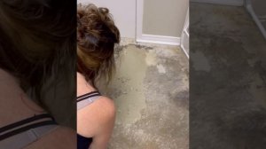 Linoleum floor removal, paint concrete