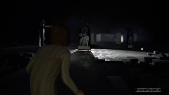 Life is Strange: Episode 5 All Optional Photos Selfie Awareness Achievement Trophy смотреть онлайн