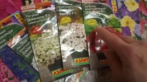 Мини-петунии.Мои любимые сорта петунии.Часть 2.