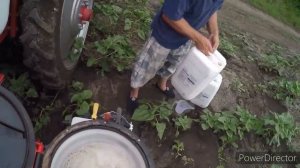 Подкормка подсолнечника по листу. Агро-канал