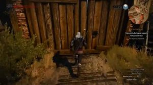 Прохождение The Witcher 3 Wild Hunt #13 Ворожей