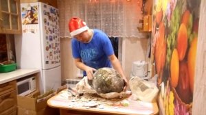 Как сохранить арбуз до Нового года. 2 часть.