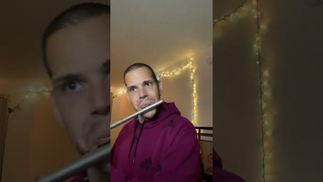 Earth for Flute and Piano by Muramatsu смотреть онлайн