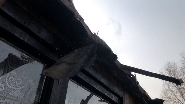 Крыша за 1,5 часа (Live)