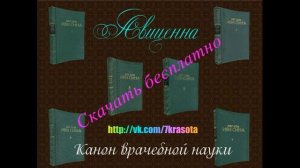Авиценна Канон врачебной науки - скачать бесплатно