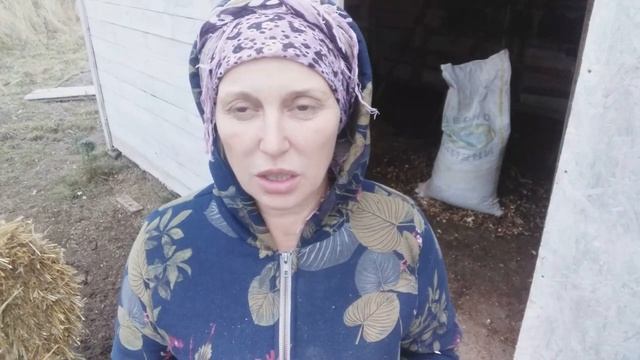 В зиму идем с яйцами....1 часть .Полы с обогревом без электричества. смотреть онлайн