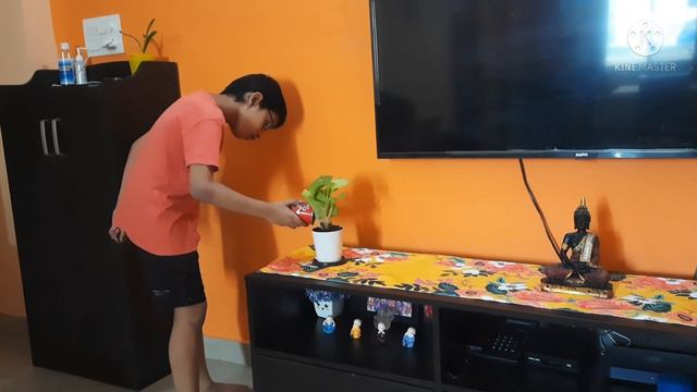 Unboxing of indoor plants from ugaoo