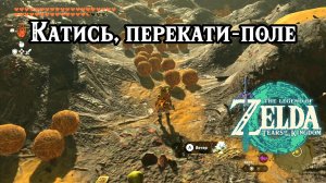 Катись перекати-поле. The Legend of Zelda Tears of the Kingdom. The Great Tumbleweed Purge