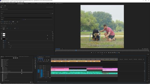 How To Animate And Use Premiere Pro Speech To Text Captions смотреть онлайн