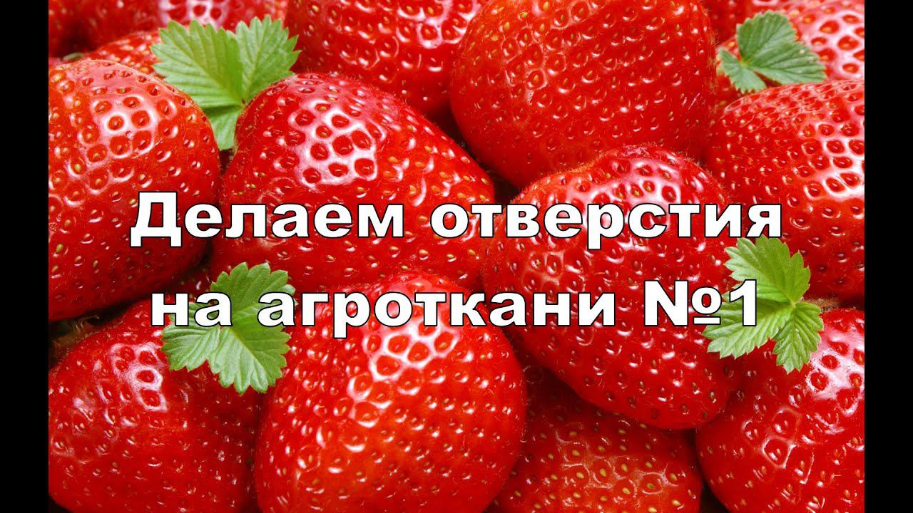 ДЕЛАЕМ ОТВЕРСТИЯ НА АГРОТКАНИ №1