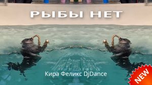 Кира Феликс - Рыбы нет