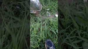 Погоня от мусоров на альфе часть 2. Избавление от примет