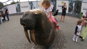 Поездка с детьми в Московский Зоопарк.