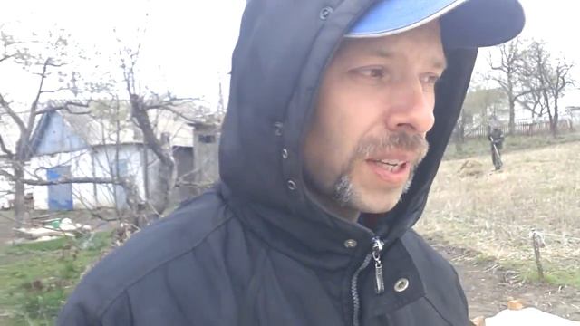 Какой сорт картошки лучше сажать под картон смотреть онлайн