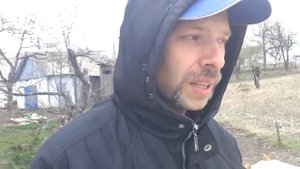 Какой сорт картошки лучше сажать под картон