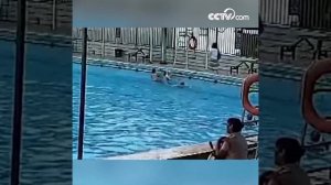 9-летний мальчик утонул в глубоководной зоне бассейна