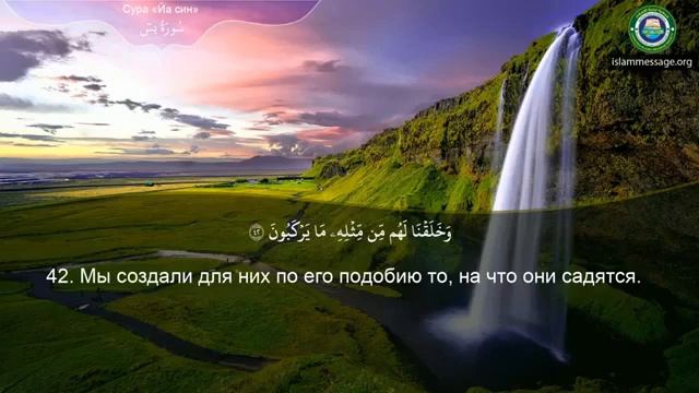 36. _Сура_ ❤️Ясин❤️ Мишари Рашид смотреть онлайн