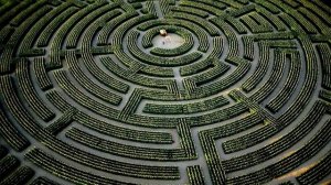 Знак "@" — Почему назвали СОБАКОЙ ???