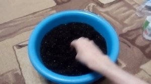 Грунт и емкости для посева и пикировки клубники садовой