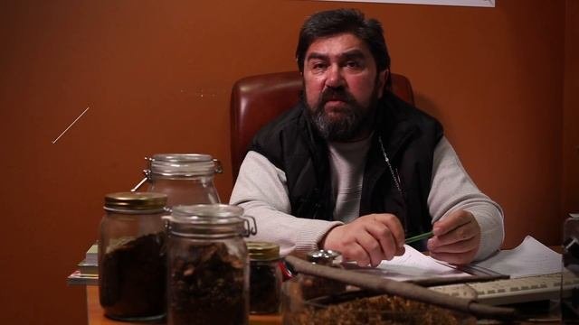 Лекарственные травы, растения и цветы. Описания и применение.