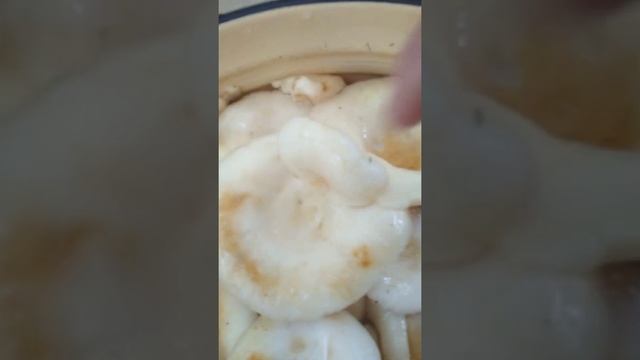 Сбор и заготовка груздей для соления смотреть онлайн