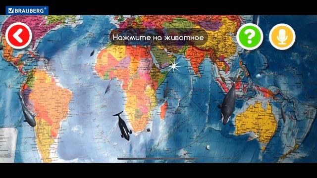 Интерактивная политическая карта мира BRAUBERG