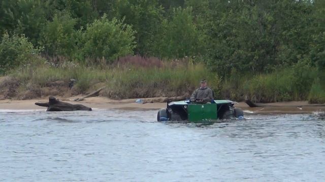 Муравей в воде смотреть онлайн