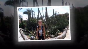 слайд шоу день рождения 16 лет